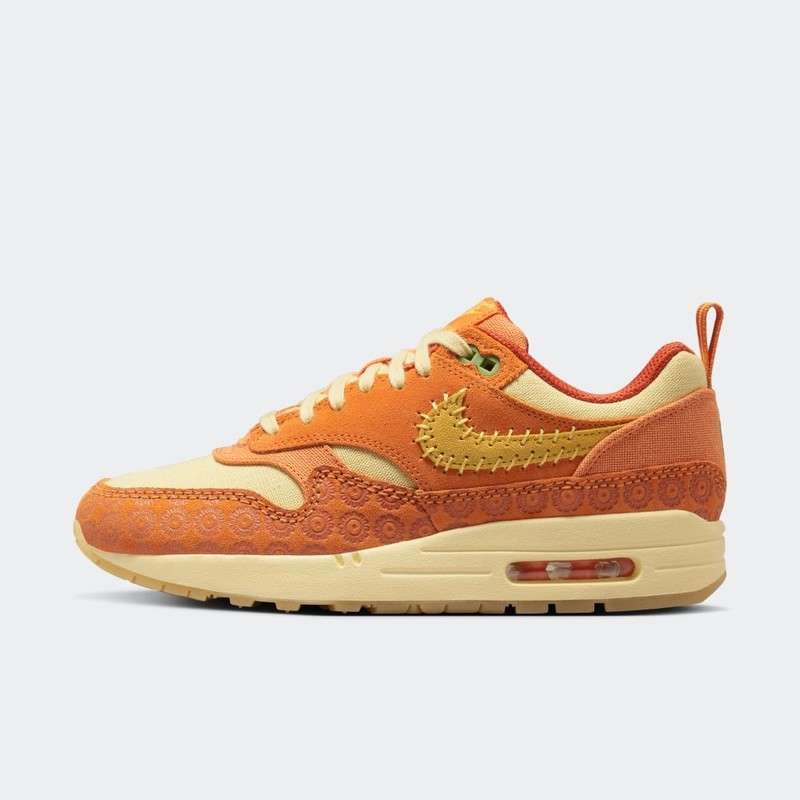 Nike Air Max 1 Somos Familia DZ5352 847 Grailify